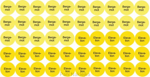 ee8108591943830882366eb5b50c91e9